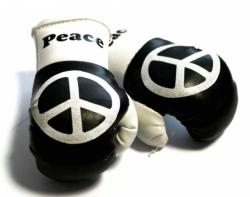 Peace Mini Boxhandschuhe