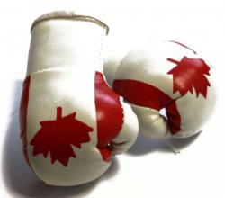Mini Boxhandschuhe Kanada
