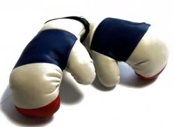 Mini Boxhandschuhe Frankreich