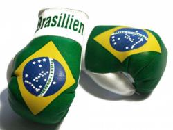 Brazil Mini Boxing Gloves