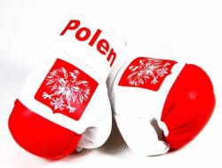 Poland Mini Boxing Gloves