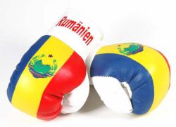Romania Mini Boxing Gloves