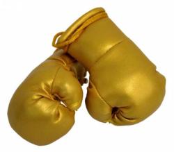 Golden Mini Boxing Gloves