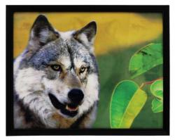 Gerahmtes 3D Bild Wolf