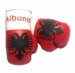 Mini Boxhandschuhe Albanien