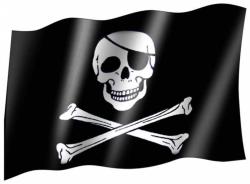 Fahne Piratenfahne