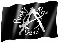 Fahne Punks Not Dead
