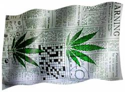 Cannabis Fahne