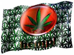Fahne Weed Cannabis