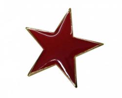Anstecker Pin Roter Stern