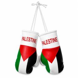 Palestine mini boxing gloves with flag colours