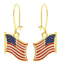 USA Ohrhänger
