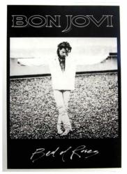 Bon Jovi Bed of Roses Postcard