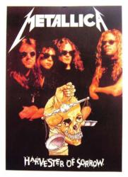 Metallica Harvester of Sorrow Postcard