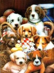 3D Bild Hundebabys