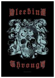 Bleeding Through The Truth Posterfahne