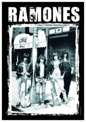 Ramones CBGB Posterfahne