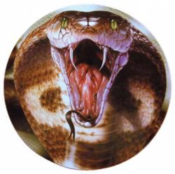Aufkleber Cobra