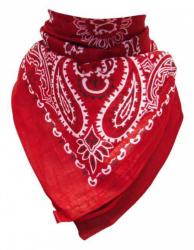 Paisley Bandana Head Wrap Scarf