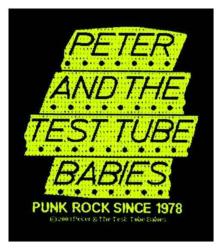 Patch Punk Rock Since 1978 Aufnäher