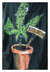 Cannabis Autocultivo Posterfahne