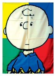 Charlie Brown Posterfahne