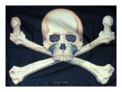Totenkopf Mit Knochen Posterfahne