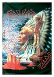 Native American Posterfahne