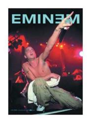 Eminem Live Posterfahne
