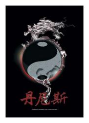 Yin Yang Drache Posterfahne