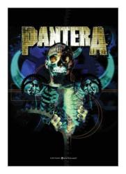 Pantera Posterfahne