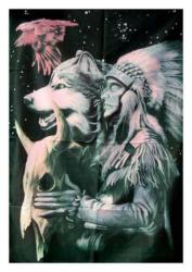 Native American Spirit Posterfahne